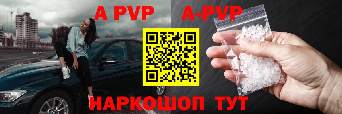 A-PVP СК Мурманск