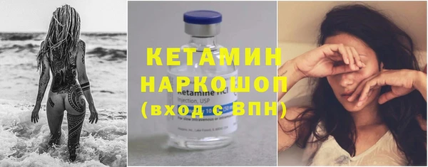 гашик Пестово