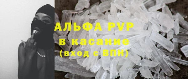 молекула духа Осташков