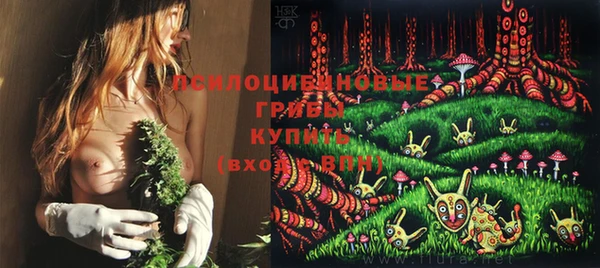 2c-b Верхнеуральск