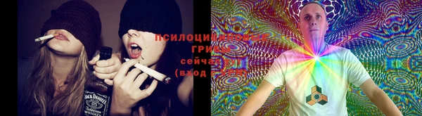 прущий лед Волосово