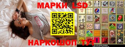 PSILOCYBIN Камышлов