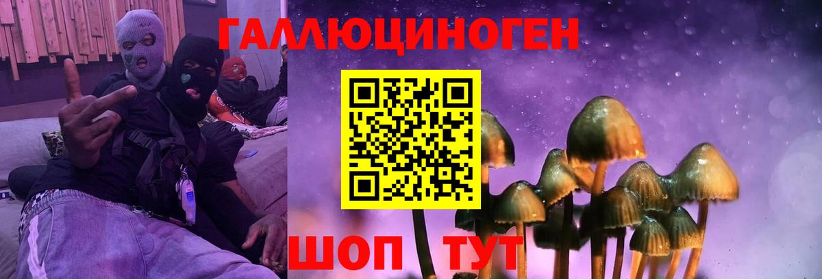 Галлюциногенные грибы мицелий Мурманск